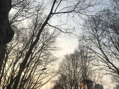 -南京钟山宾馆(江苏省会议中心)