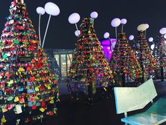 -BHC炸鸡(明洞总店)