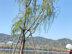 -浙江西湖美术馆