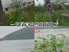-南北湖风景区