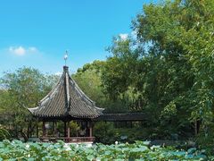 -上海醉白池公园