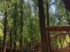 -蟠龙山长城景区