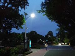 -仙岳公园