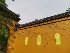 -西园戒幢律寺