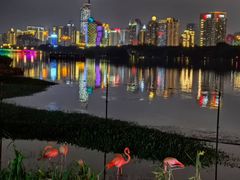 -南宁南湖公园