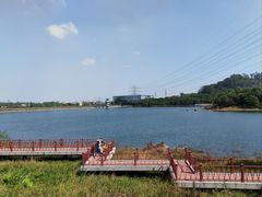 -水濂山森林公园