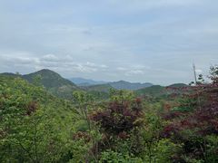 -四明山国家森林公园