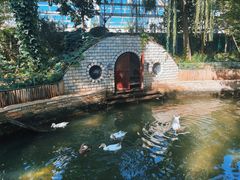 -南宫五洲植物乐园