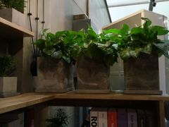 -HIGH FIVE哈福手工汉堡(桂林路店)