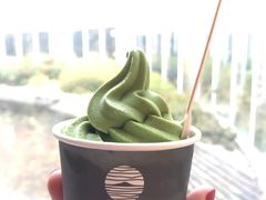 -雪绿茶博物馆