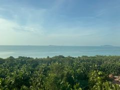 -三亚湾海居铂尔曼度假酒店