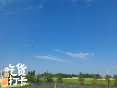 -龙凤禧毛肚火锅(阳光舜城店)