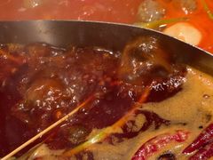 -辣伍鲜毛肚老火锅(元一店)