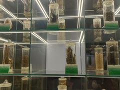 -广东中医药博物馆