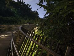 -福道
