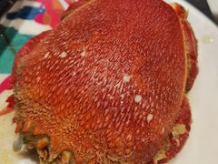 -阳光岛·海鲜盛宴(银泰中心in99店)