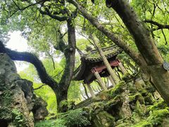 -天一阁博物院