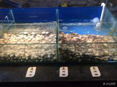 水产区-鑫海汇海鲜烤肉自助(北国商城店)