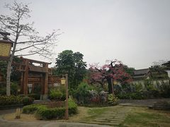 -南宁花花大世界景区