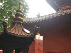 -长春观