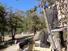 -哈尔滨北方森林动物园