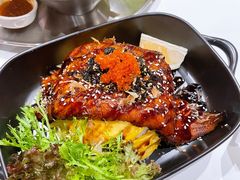 -猫儿山۰猫主题餐厅