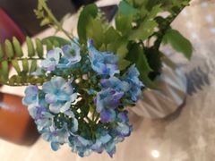 -云客来·花园餐厅(洛社店)
