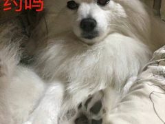 -欢乐迪KTV(南京夫子庙三山街店)