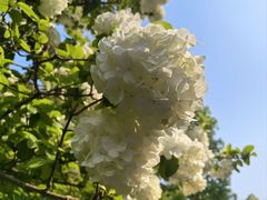 -烟水渔庄餐厅(西溪湿地店)