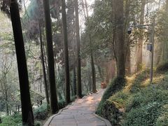 -青城山