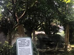室外活动场地没有熊猫哦-成都大熊猫繁育研究基地