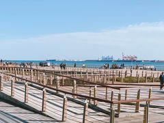 -东疆建设开发纪念公园