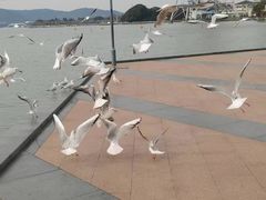 -蠡湖大桥公园