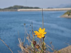 -长沙黑麋峰国家森林公园