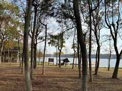 -上海海湾国家森林公园