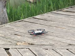 -白鹭湾湿地公园