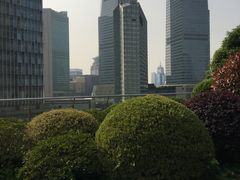 -花园5號餐厅