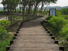 -西青郊野公园