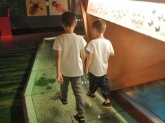 -青藏高原自然博物馆