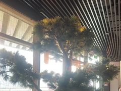 -绿茶餐厅(成都大悦城店)