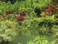 -缙云山景区