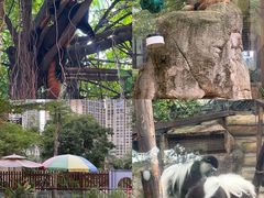 -灵玲国际马戏城