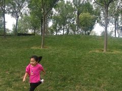 -武清南湖绿博园