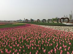 -南通鲜花小镇