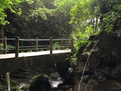 -藏龙百瀑风景区