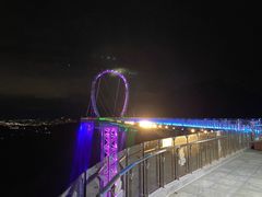 -黄腾峡天门悬廊