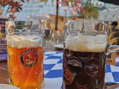 -Paulaner·德国帕拉娜自酿啤酒餐厅(海上世界店)