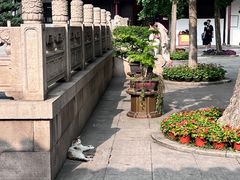 -西园戒幢律寺