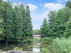 -云溪植物园