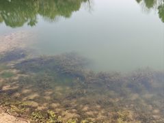 -瑶湖湿地自然保护区